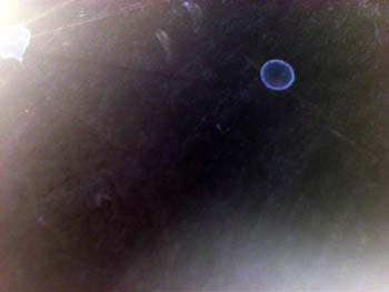 DSC00183