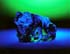 Blue Green Frog