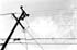 Power Lines